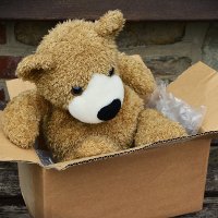 The Pros and Cons of Flat Rate Shipping for Online Retailers